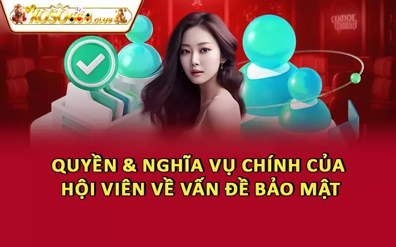 Quyền & nghĩa vụ chính của hội viên về vấn đề bảo mật