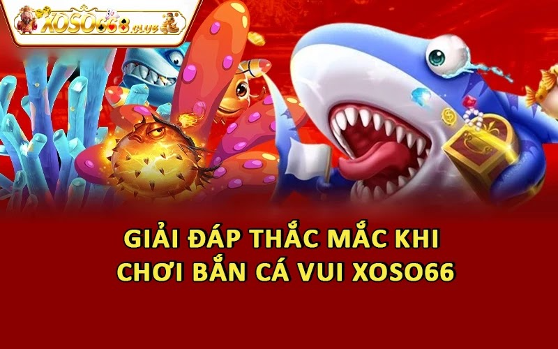 Giải đáp thắc mắc khi chơi bắn cá vui Xoso66