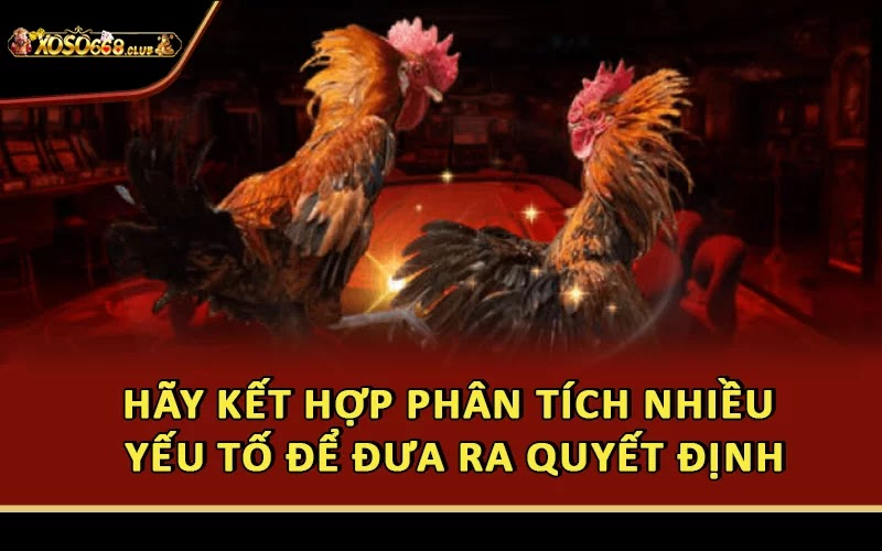 Hãy kết hợp phân tích nhiều yếu tố để đưa ra quyết định