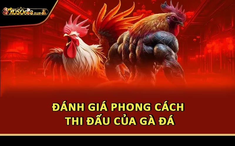 Đánh giá phong cách thi đấu của gà đá