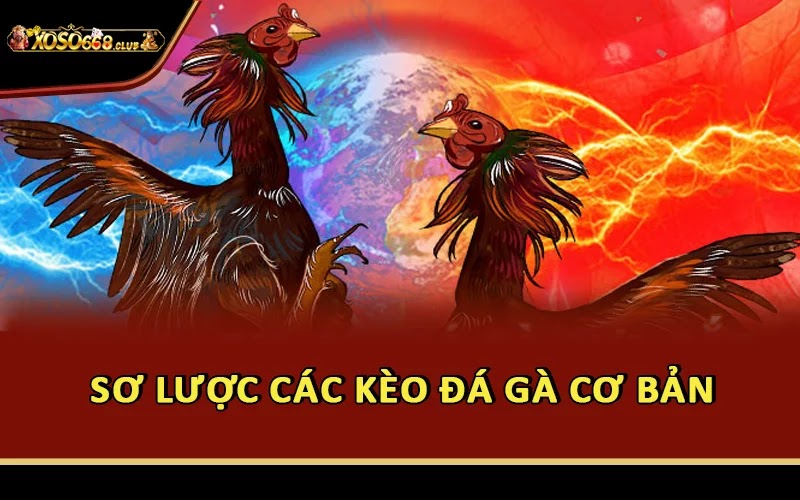 Sơ lược các kèo đá gà cơ bản