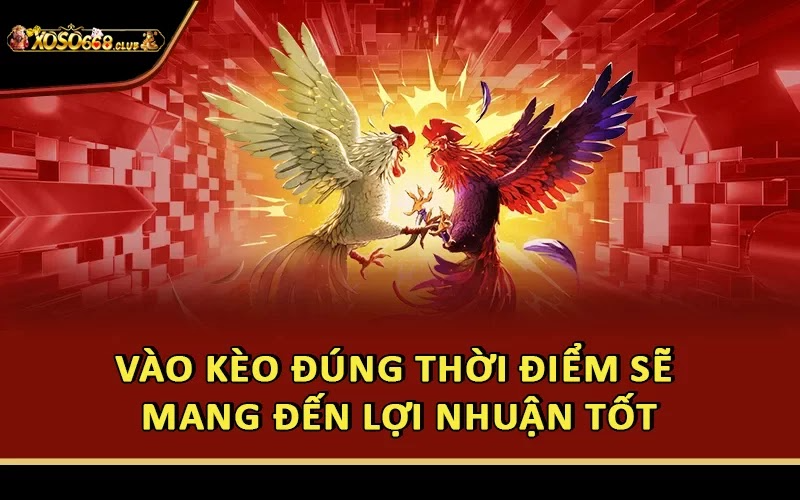 Vào kèo đúng thời điểm sẽ mang đến lợi nhuận tốt