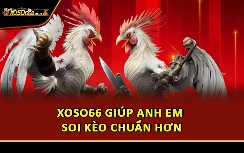 Xoso66 giúp anh em soi kèo chuẩn hơn