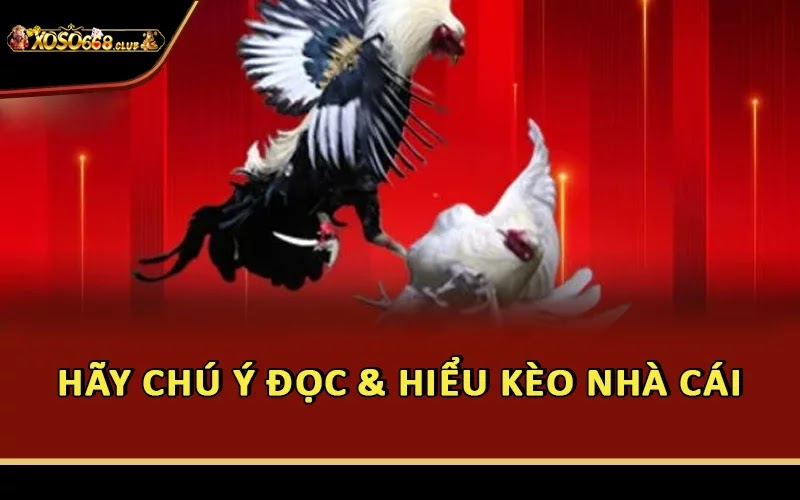 Hãy chú ý đọc & hiểu kèo nhà cái
