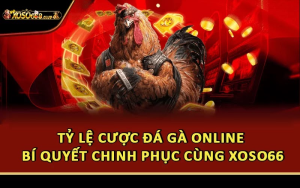 Tỷ Lệ Cược Đá Gà Online - Bí Quyết Chinh Phục Cùng Xoso66
